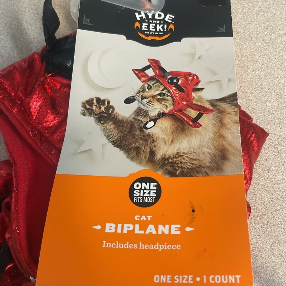 Cat hats - Picture 2 of 5